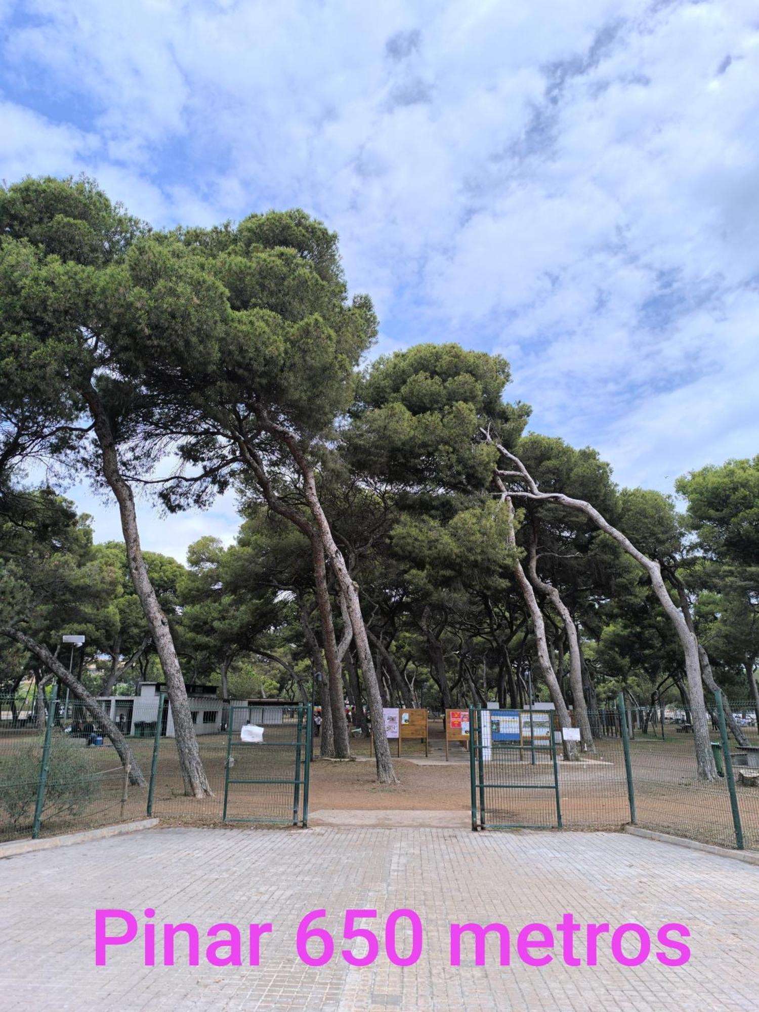 Appartamento Ka La Paca Grao de Castellon Esterno foto
